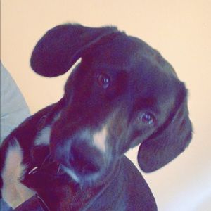 Meet your Posher, Kaitlynn